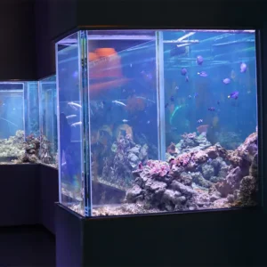 Outdoor Indoor Suitable Plastic Eco Friendly Heavy Duty New Acrylic Large Fish Tank Marine Scene Custom