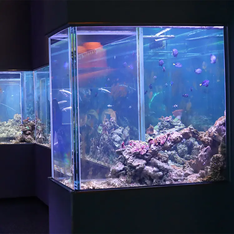 Outdoor Indoor Suitable Plastic Eco Friendly Heavy Duty New Acrylic Large Fish Tank Marine Scene Custom