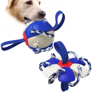 Outdoor Interactive Toys for Dogs High Quality Durable Pet Dog Toys Accessories