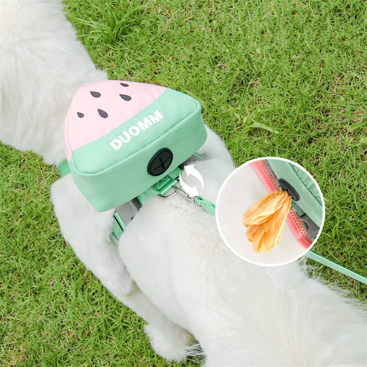 Outdoor Pet Supplies Large Capacity Double D-ring Safety Cartoon Dog Backpack Carrier Leash Set