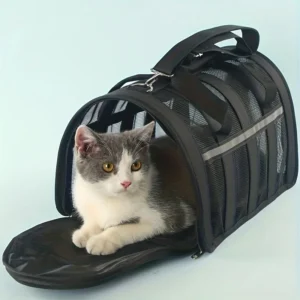 Outdoor Portable Folding Airline Approved Small Animal Dogs Cats Pet Travel Carrier Bag with Locking Safety Zipper