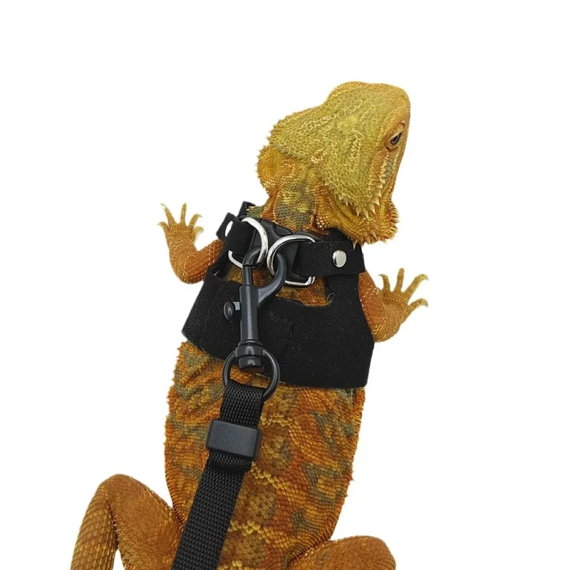 Outdoor Small Pet Supplies Lizard & Chameleon Squirrel Leash Reptile & Amphibian Clothes