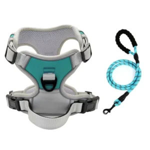 Outdoor Walking Dog Harness and Control Leash Large Dog Harness