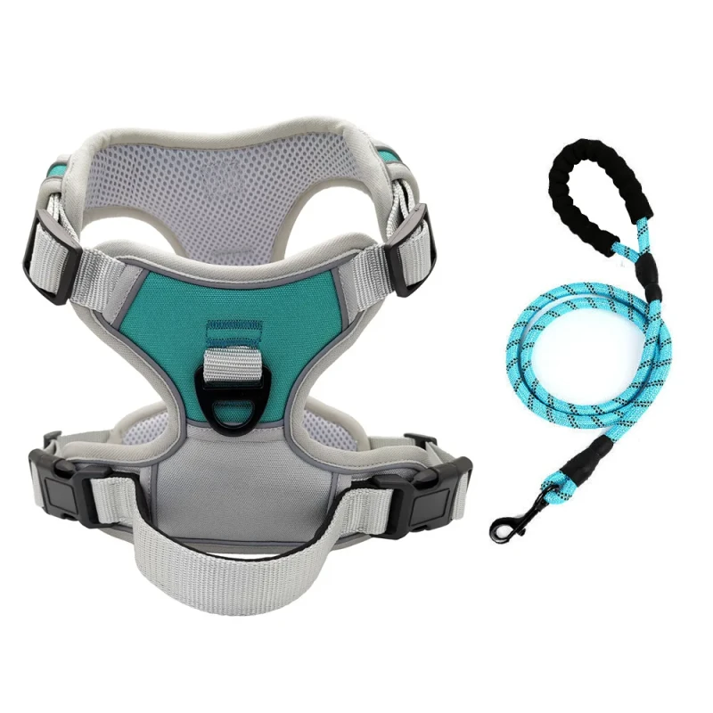 Outdoor Walking Dog Harness and Control Leash Large Dog Harness