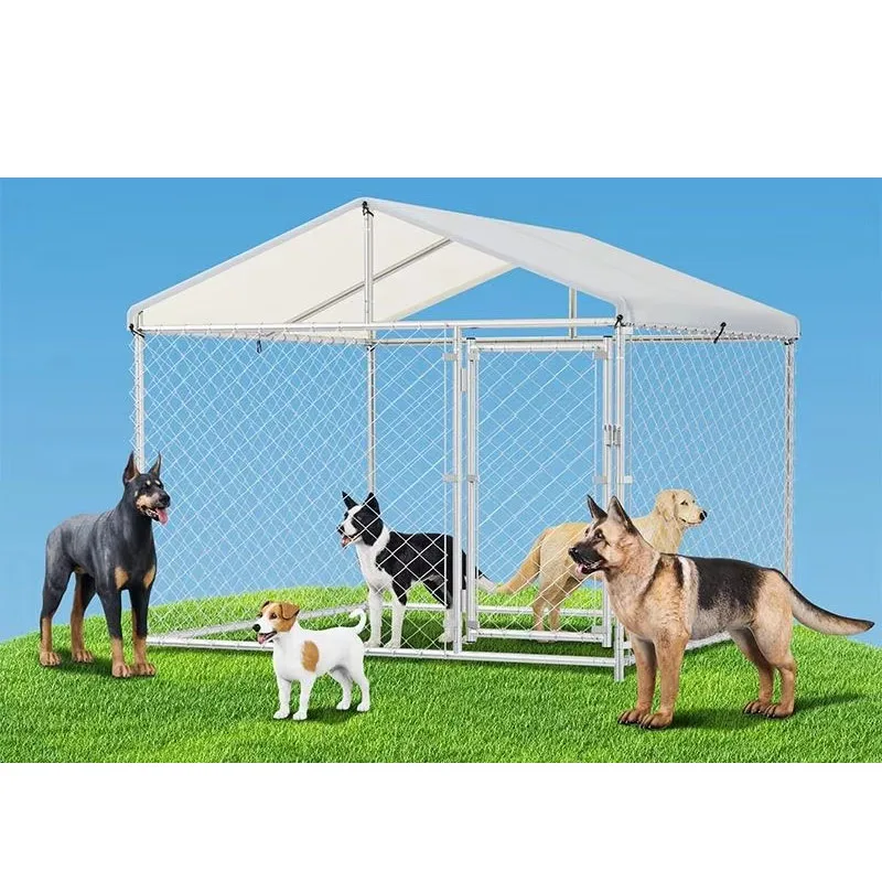 Outside Multiple Run Pet Metal Cages Extra Large Outdoor Dog Kennels for Dogs with Roof
