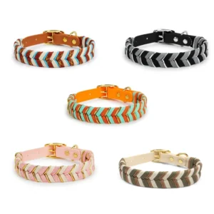 PVC Pet Collar Series Durable Lightweight with Metal Buckle Ideal for Dogs and Microblog Style Tags