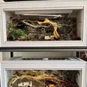 PVC Reptile Display Enclosure Reptile Breeding Rack Reptile Snake Display Case for Lizard Snake Breeding