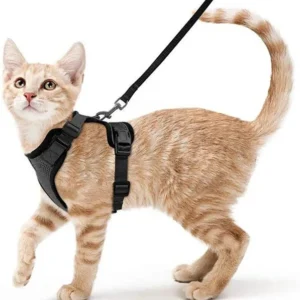 Padded Cat Harness with Reflective Anti-Escape Feature Solid Small Dog Traction Rope for Pets and Cats Cat Leash