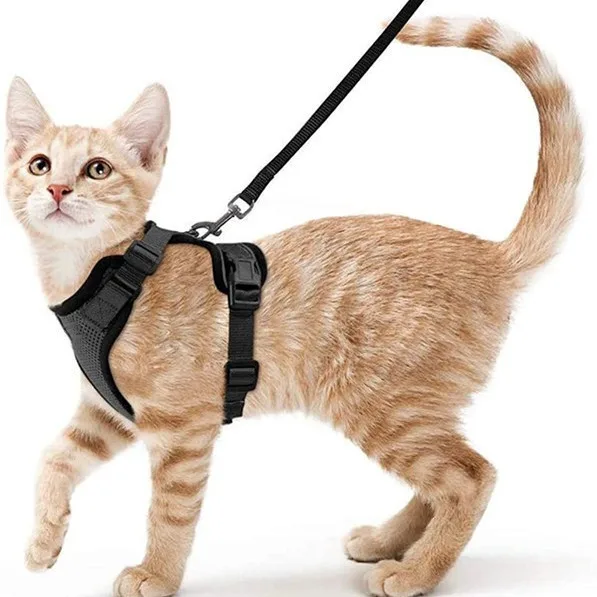 Padded Cat Harness with Reflective Anti-Escape Feature Solid Small Dog Traction Rope for Pets and Cats Cat Leash