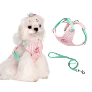 Padded Fashion Sport Pet Dog and Cat Harness Leash Set with Scarf Adjustable Striped Design