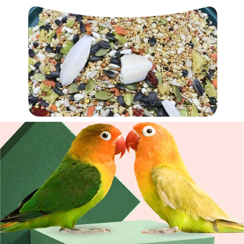 Parrot Bird Feed Special Mix for Budgies Lovebirds Small to Medium Parrots Parrot Complete Food
