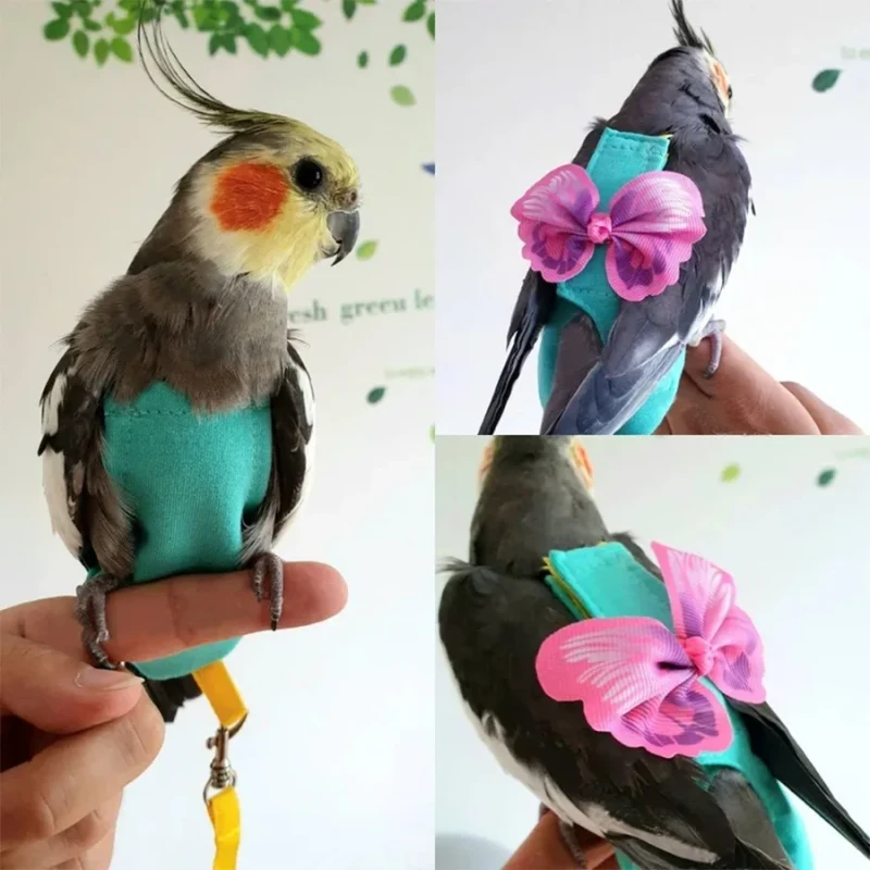 Parrot Clothing with Butterfly Wings Decoration and Leash Pet Bird Vest Diapers for All Seasons