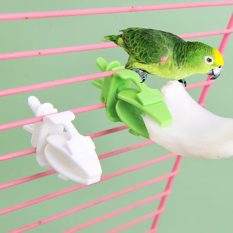 Parrot Fruit Fork Vegetable Small Clip Snack Fruit Clip Birdcage Multifunctional Pet Bird Supplies Food Clip Polypropylene Round