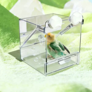 Parrot Incubator Multifunctional Bathing Basin Splash-Proof Square Feeding Bowl Monk Parrot Peony Bird Supplies