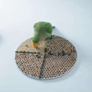 Parrot Slow Feeding Bowl Foraging Mat Silicone Tray Bird Toy Relieve Boredom Self Amusement Chewing Supplies