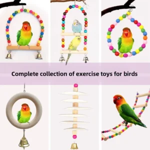 Parrot Toy Ladder Swing with Bell Round Bird Toy Station Rack Pet Supplies