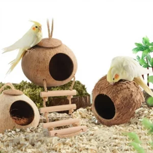 Parrot and Cockatiel Bird Nest Coconut Shell Natural Round Shape Pet Toy Supplies