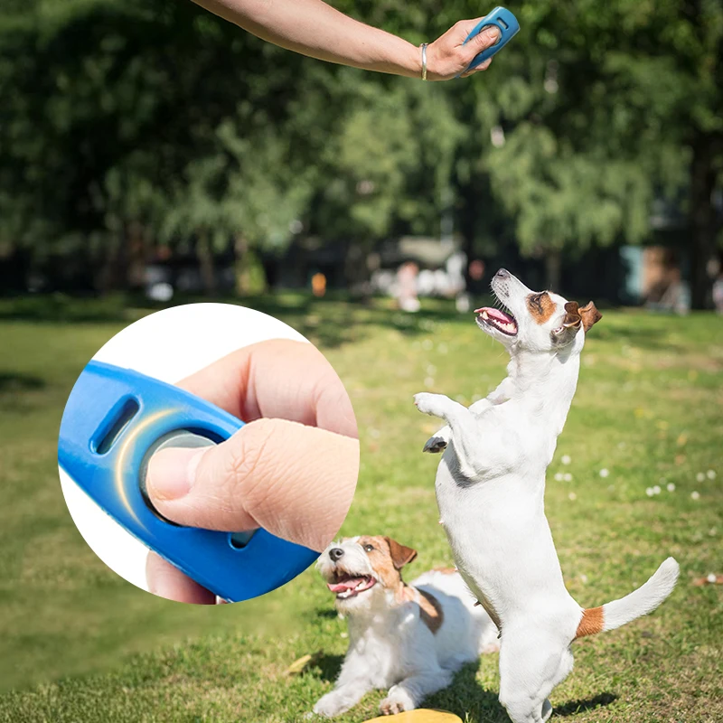 Patented Design Pet Training and Behavior Products 2 In 1 Dog Clicker Dog Whistle