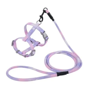 Personalised Luxury Dog Harness and Leash Set Dog Treat Pouch Dog Training Supplies Pet Products Pet Harnesses Set