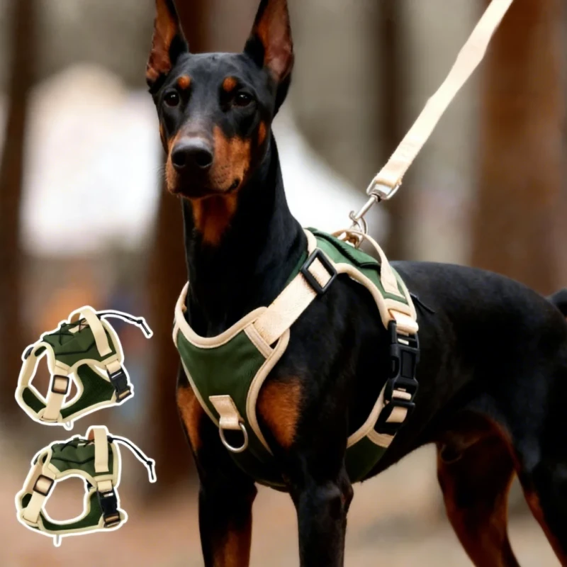 Personalized Brand Pet Leash Adjustable Dog Harness for Large Dogs