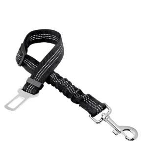 Personalized Comfortable Eco Friendly Nylon Lace Dog Leash Durable with Solid Pattern for Large Medium Breed
