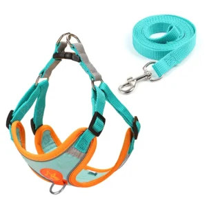 Personalized Design Dog Collars and Matching Leashes Dog Collar Leash Pet harness set Manufacturers