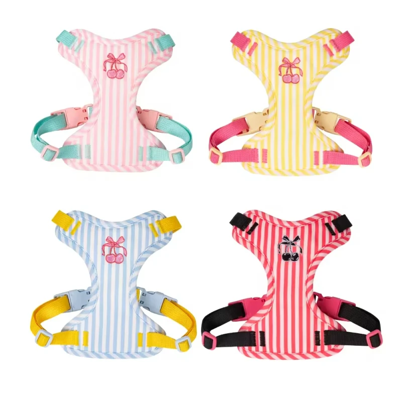 Personalized Dog Harness Pet Dog Harness with Leashes Outdoor Walking Puppy Pet Accessories Adjustable Dog Harness Leash Set