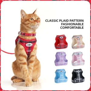 Personalized Matching Collar Leashes Breathable Mesh Adjustable Three Piece Kit Outdoor Walking Comfortable Pet Harnesses
