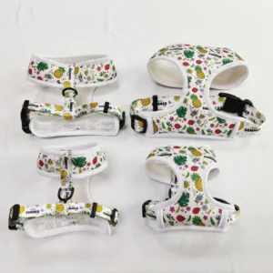 Personalized OEM Pet Chest Strap Custom Design Neoprene Padded Dog Harness With Matching Collar Leash Harness Set