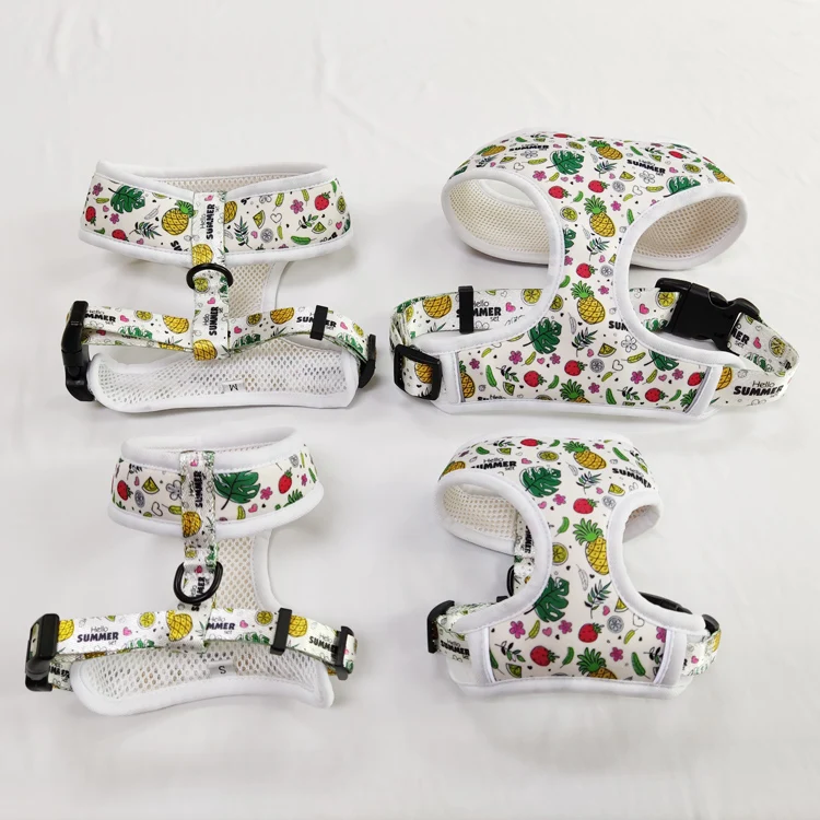 Personalized OEM Pet Chest Strap Custom Design Neoprene Padded Dog Harness With Matching Collar Leash Harness Set