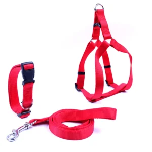 Personalized Padded Nylon Harness Leash & Collar Set with Lights Solid Pattern for Dogs All Seasons Comfortable Walks