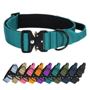 Personalized Print Nylon Heavy Duty Tactical Dog Collar with Handle Rivet Decoration for Large Dogs Pet Walking Training