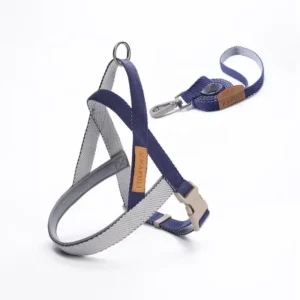 Personalized Print Ribbons Dog Collar Leash and Harness Set with Nylon Strap for Small Pets