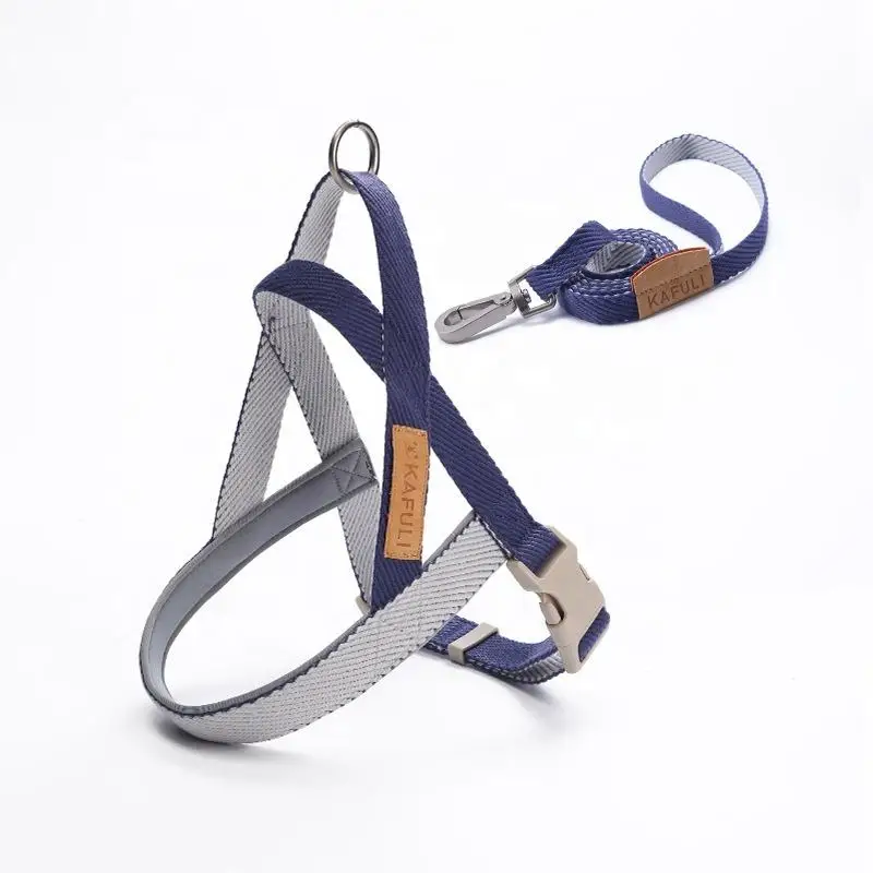 Personalized Print Ribbons Dog Collar Leash and Harness Set with Nylon Strap for Small Pets