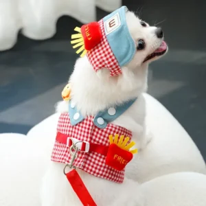 Personalized Spring Summer Dogs Fashion Pet Harness Set Lights Traction Rope Outing Clothing Durable