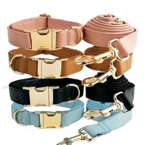 Personalized Waterproof Dog Collar Set XS-XL Pet Leads Harness With Collars Adjustable Cat Necklace Durable Puppy Harnesses