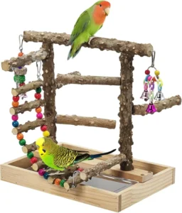 Pet Accessories Bird Playground Natural Wooden Parrot Stand Suitable for Small and Medium Birds Pet Supplies