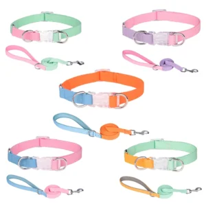 Pet Accessories Custom Design Contrasting Pet Lead Harness Dog Collar and Leash