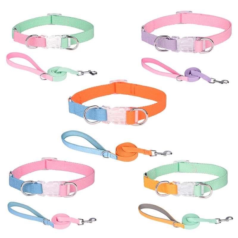 Pet Accessories Custom Design Contrasting Pet Lead Harness Dog Collar and Leash