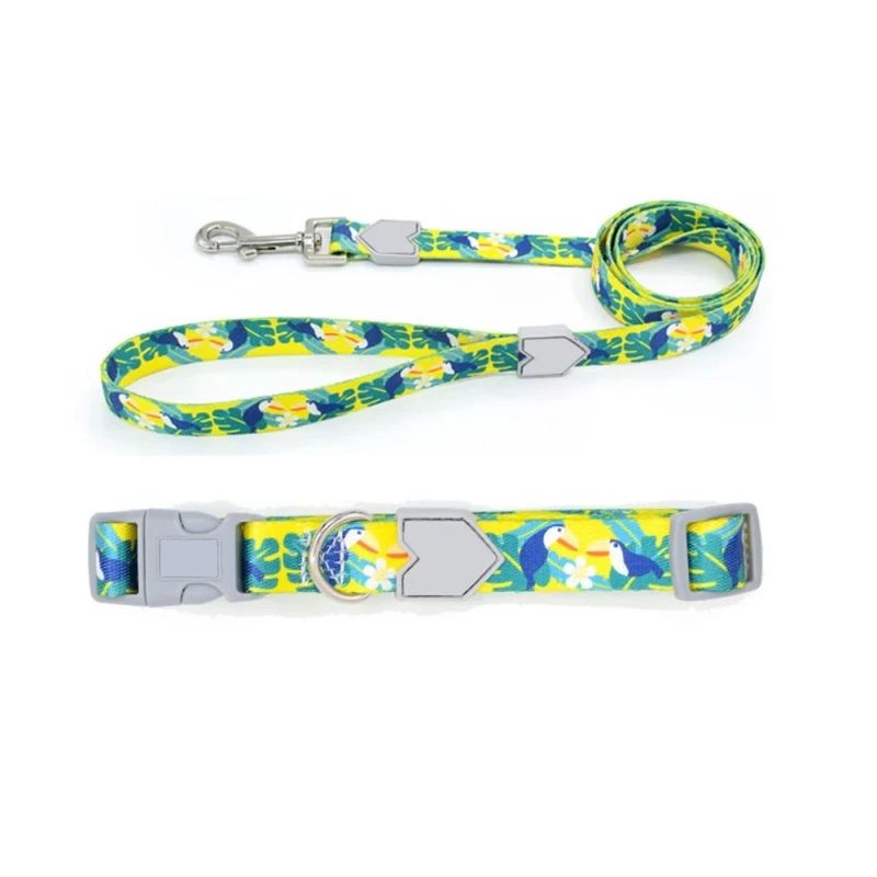 Pet Accessories Durable Cute Patterns Dog Puppy Collar and Lead Set