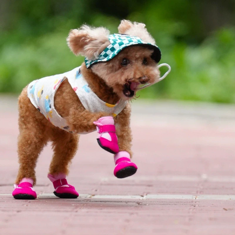 Pet Accessories Paw Protectors Comfortable Breathable Cat Dog Socks Indoor Puppy Dog Supplies Dog Shoes