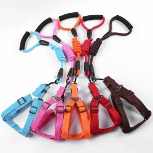 Pet Accessories Pet Leash Harness Set