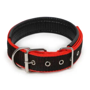 Pet Accessory Adjustable Dog Collar Multi Color Durable Pet Collar for Dog Walking and Running