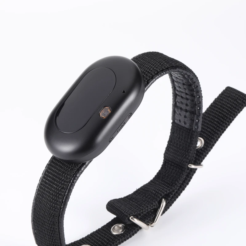 Pet Activity Monitor Measure Pet Step Historical Track Dog Cat Health Monitor Smart 4G GPS Tracker & Locator