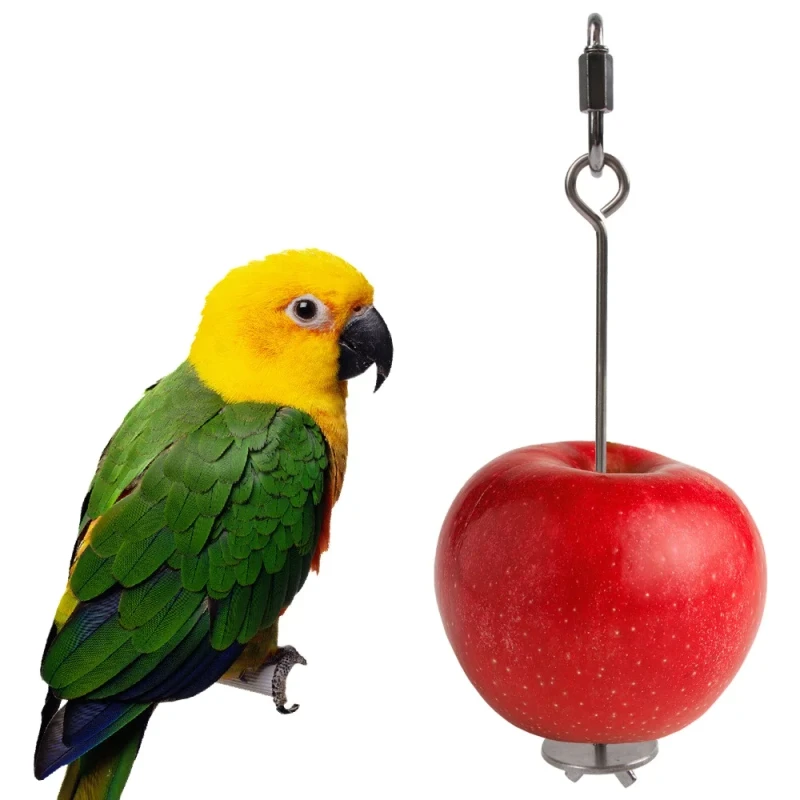 Pet Bird Accessories Hang Cage Stainless Steel Parrot Supplies Bird Feeder Parrot Fruit Fork