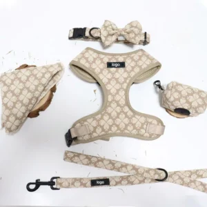 Pet Boutique Luxury Fashion New Design Custom Dog Harness Set Outdoor D Ring No-pull Adjustable Polyester + Leash Set