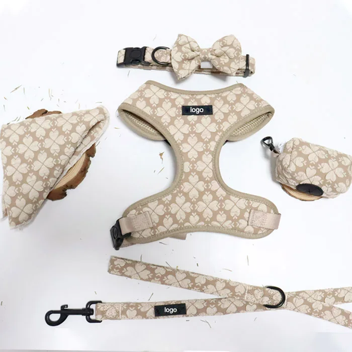 Pet Boutique Luxury Fashion New Design Custom Dog Harness Set Outdoor D Ring No-pull Adjustable Polyester + Leash Set