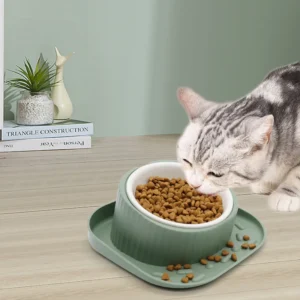 Pet Bowl Feeder Prevent Food Overflow Tilted Elevated Pet Food Bowl Ceramic Cat Pet Dog Bowl