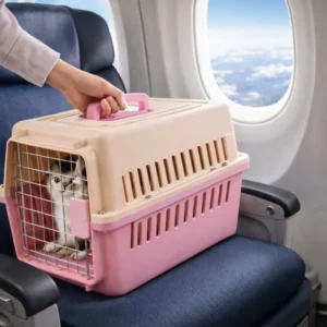 Pet Cage Airline Approved Cat Carrier Portable Pet Travel Box for Small Dogs Plastic Ventilated Pet Transport Crate