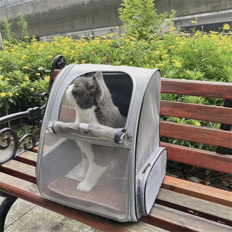 Pet Carrier Backpack Other Pet Carriers Bag & Travel Products Pet Carrier Soft Sided Large